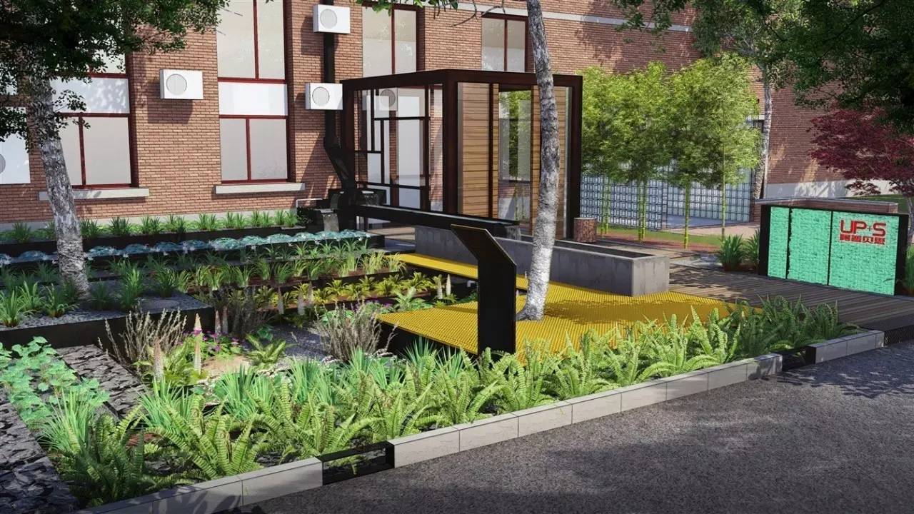 你还在问雨水花园是什么吗 看了这个保你知道~