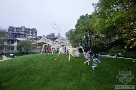 你还在问雨水花园是什么吗 看了这个保你知道~