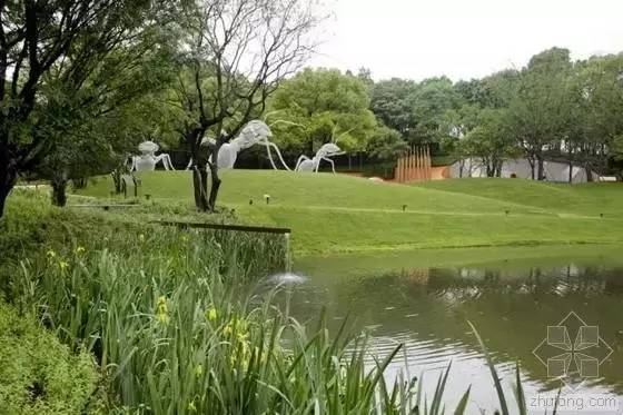 你还在问雨水花园是什么吗 看了这个保你知道~