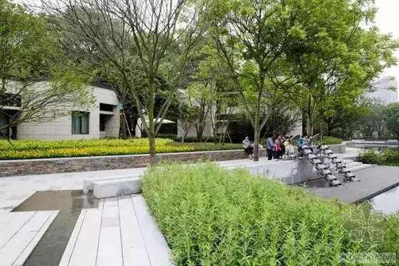 你还在问雨水花园是什么吗 看了这个保你知道~