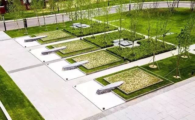 你还在问雨水花园是什么吗 看了这个保你知道~