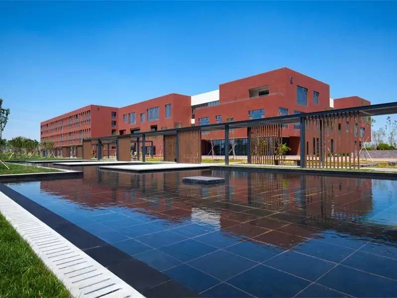 你还在问雨水花园是什么吗 看了这个保你知道~