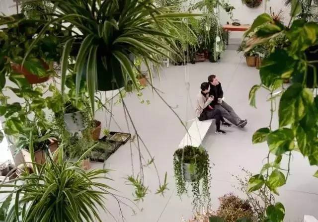 如何开一家时髦又有趣的花店&nbsp;| 指南