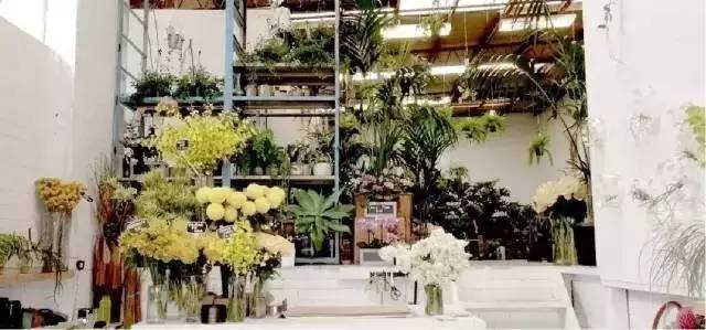如何开一家时髦又有趣的花店&nbsp;| 指南
