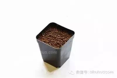 846c7564d89aa8572cabfa99aa49e1be.jpg