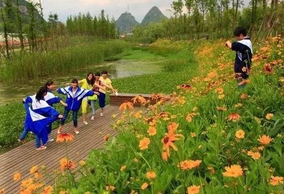 七种 · 常用河道生态护坡形式