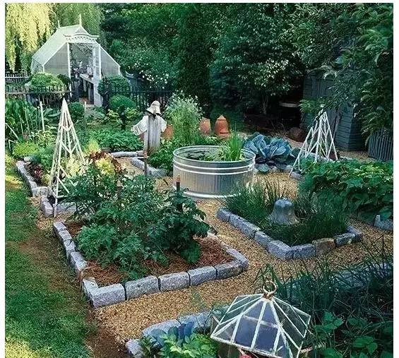 菜园设计好要比花园好看