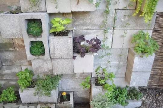 水泥砖+绿植？你值得拥有！