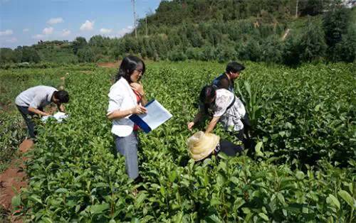 苗木质量、包装与运输要求及检验标准