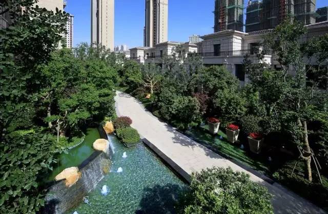 多重绿化景观：树不在多，巧植就行