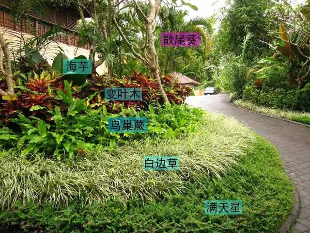 多重绿化景观：树不在多，巧植就行