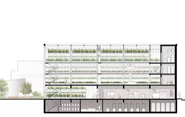 别墅建到60层，可以在家里种菜、遛狗的立体绿化楼盘