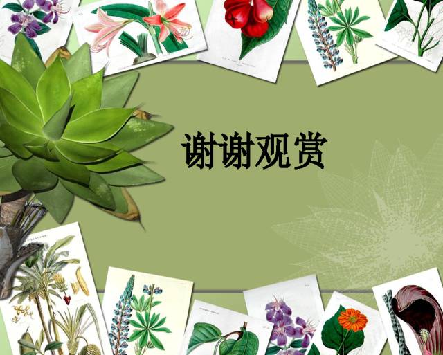 100种常见园林植物图鉴