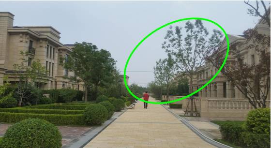植物配置基础及反季节重点