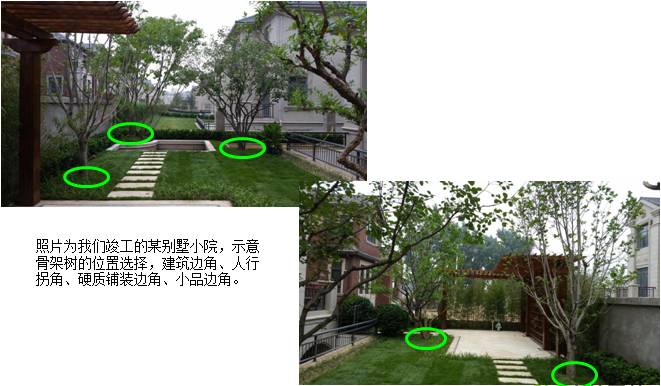 植物配置基础及反季节重点