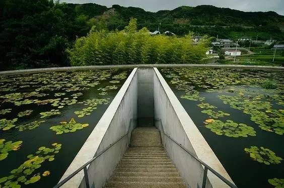 安藤忠雄的水泥美学
