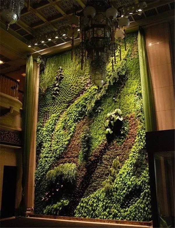 绿植上墙欣赏