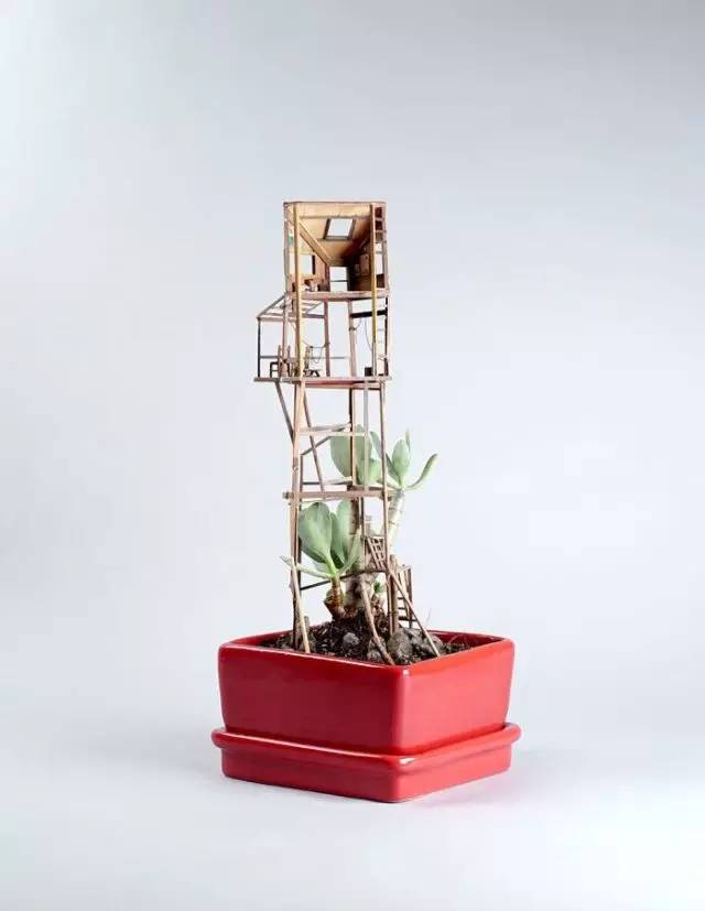 树屋