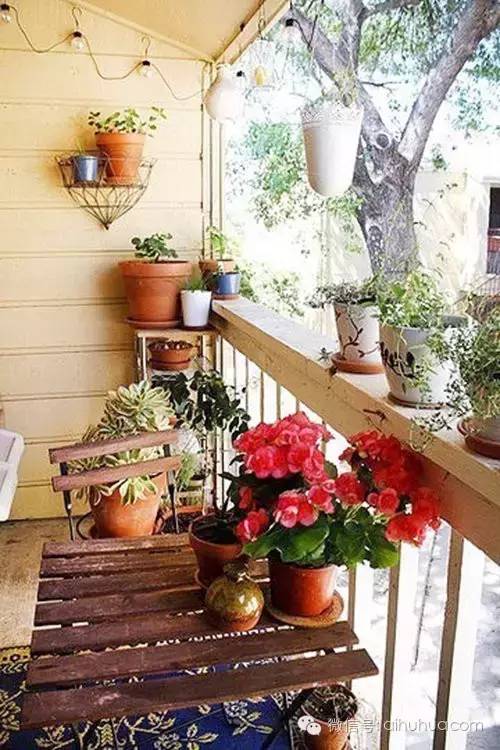 如何把阳台改成一座花房