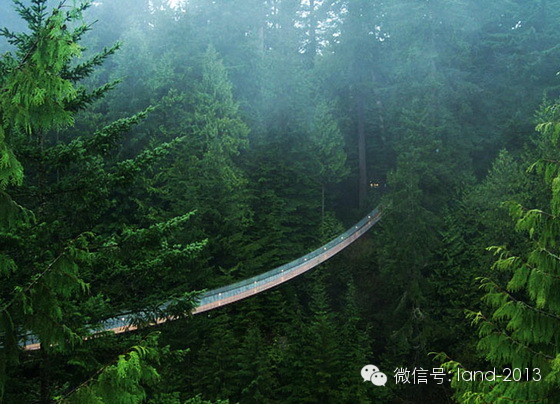 各种各样的景观桥
