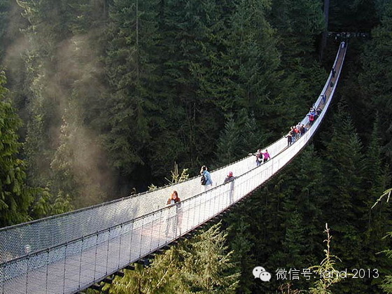 各种各样的景观桥