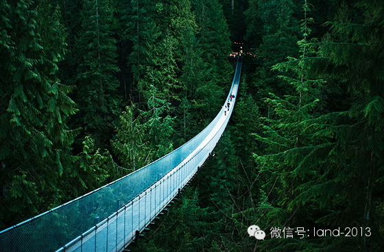 各种各样的景观桥