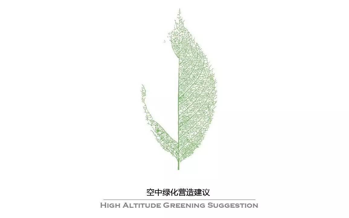空中绿化营造建议