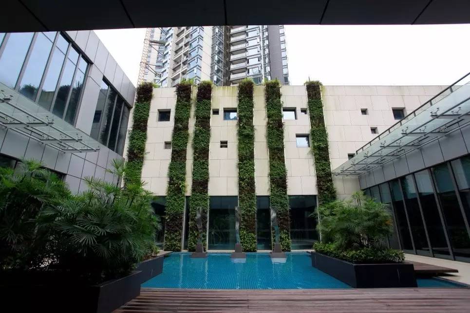空中绿化营造建议