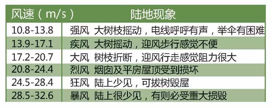 空中绿化营造建议