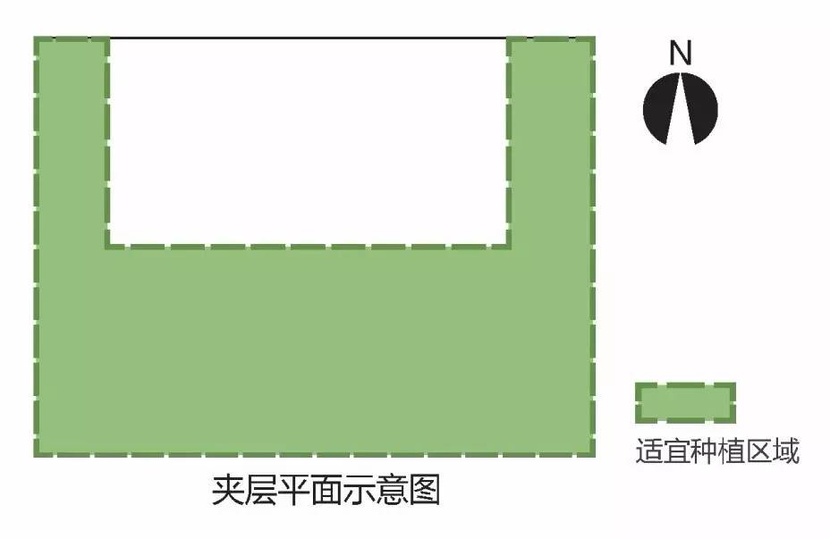 空中绿化营造建议