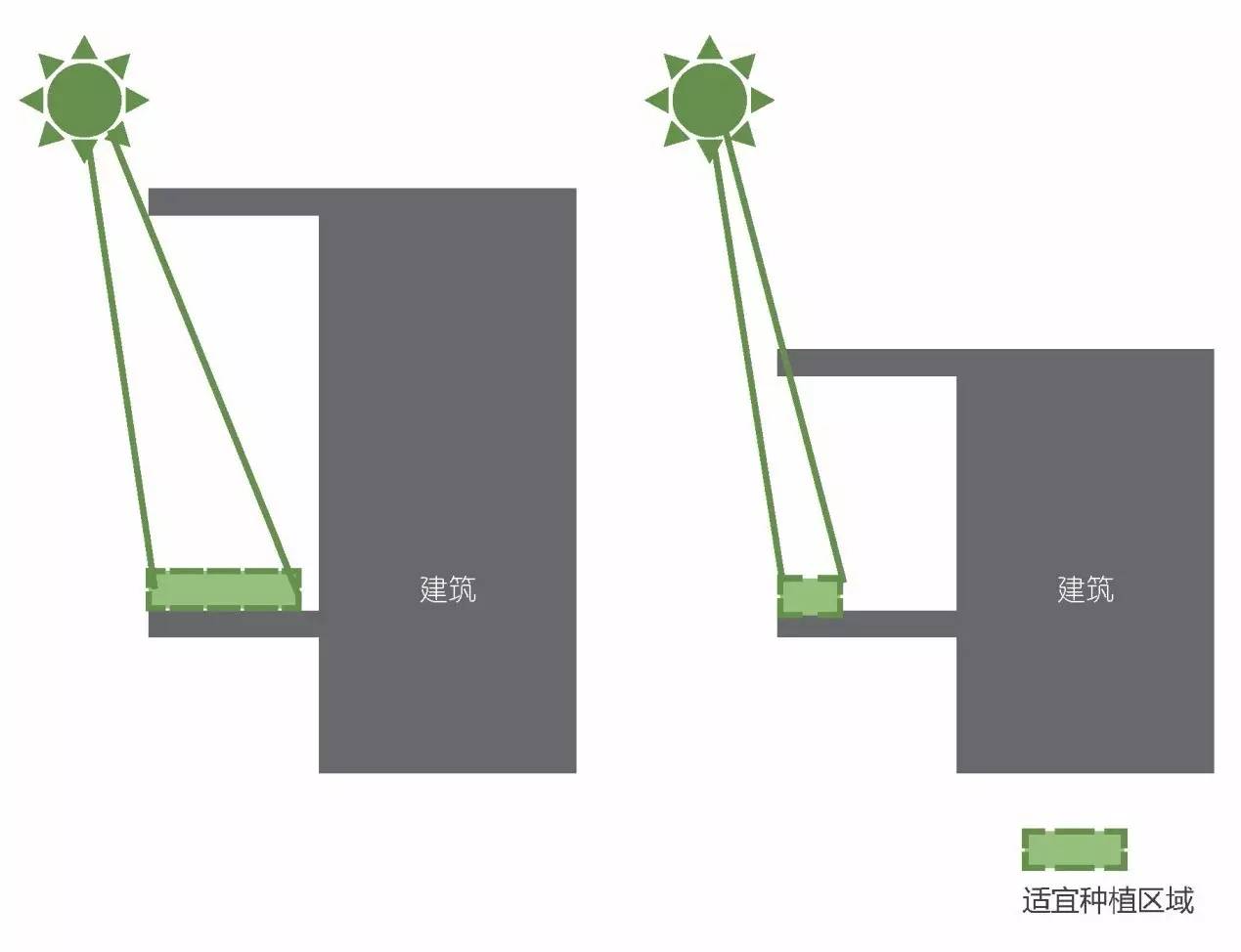 空中绿化营造建议