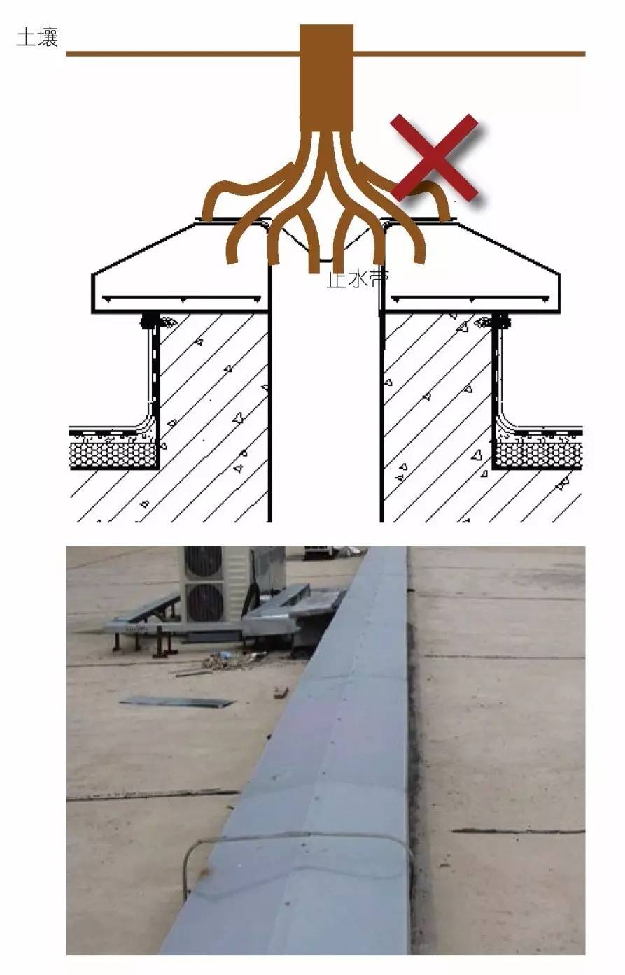 空中绿化营造建议