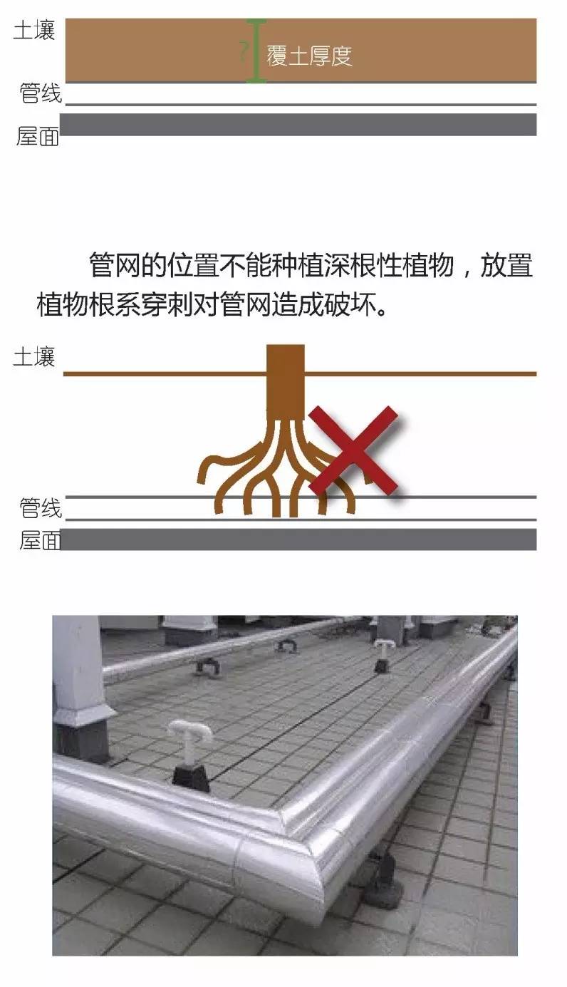 空中绿化营造建议