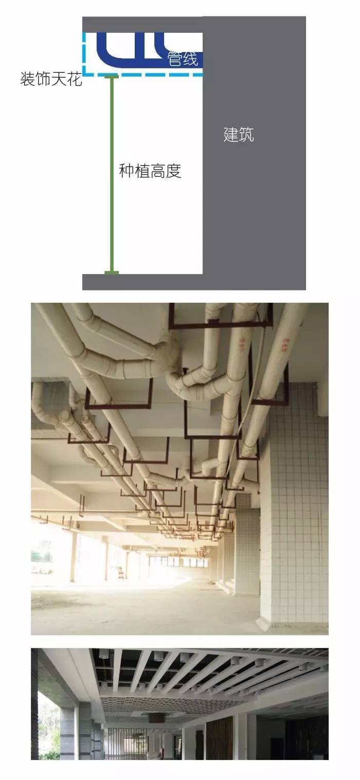 空中绿化营造建议
