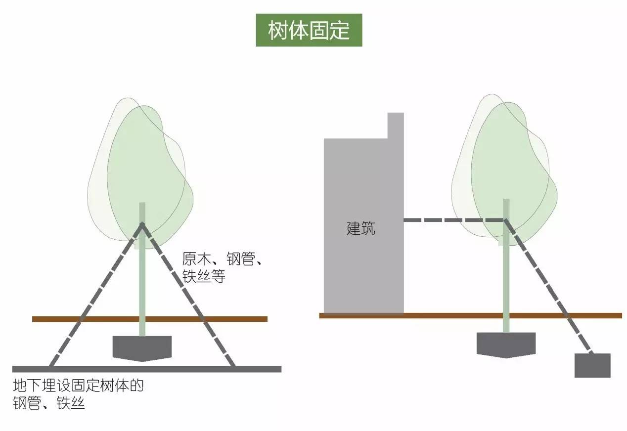 空中绿化营造建议