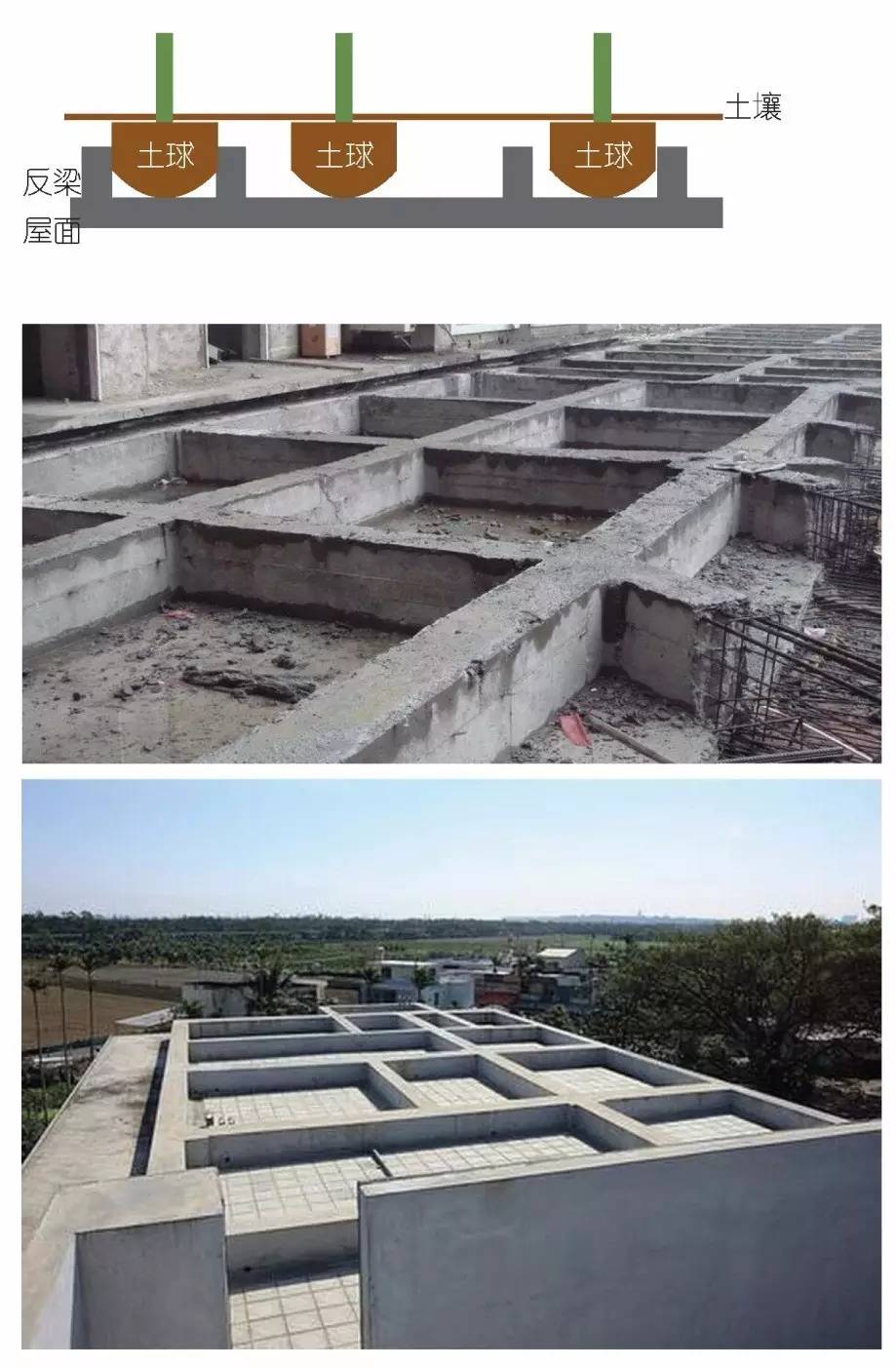 空中绿化营造建议