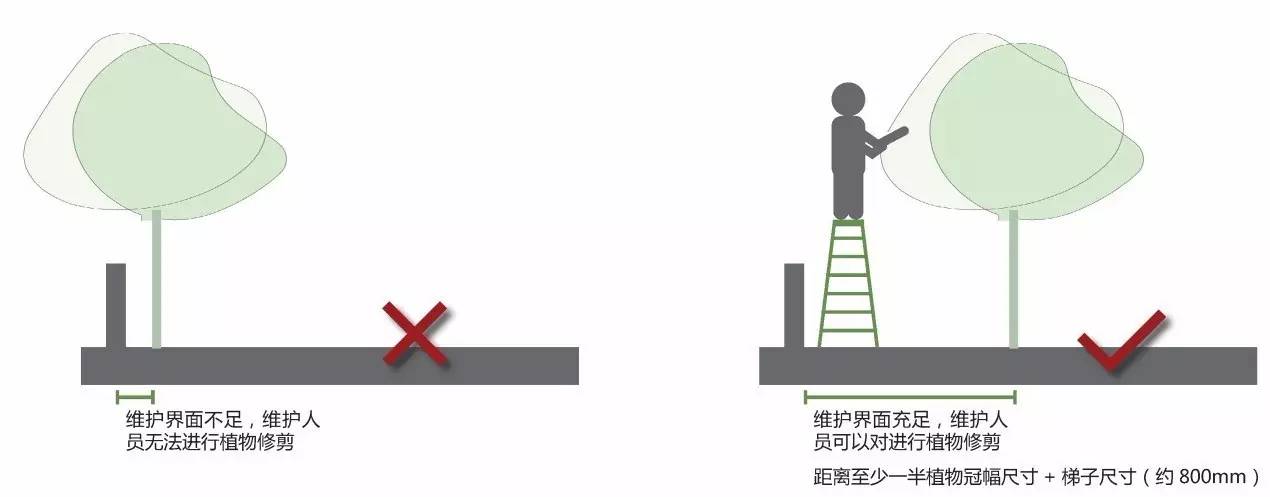 空中绿化营造建议