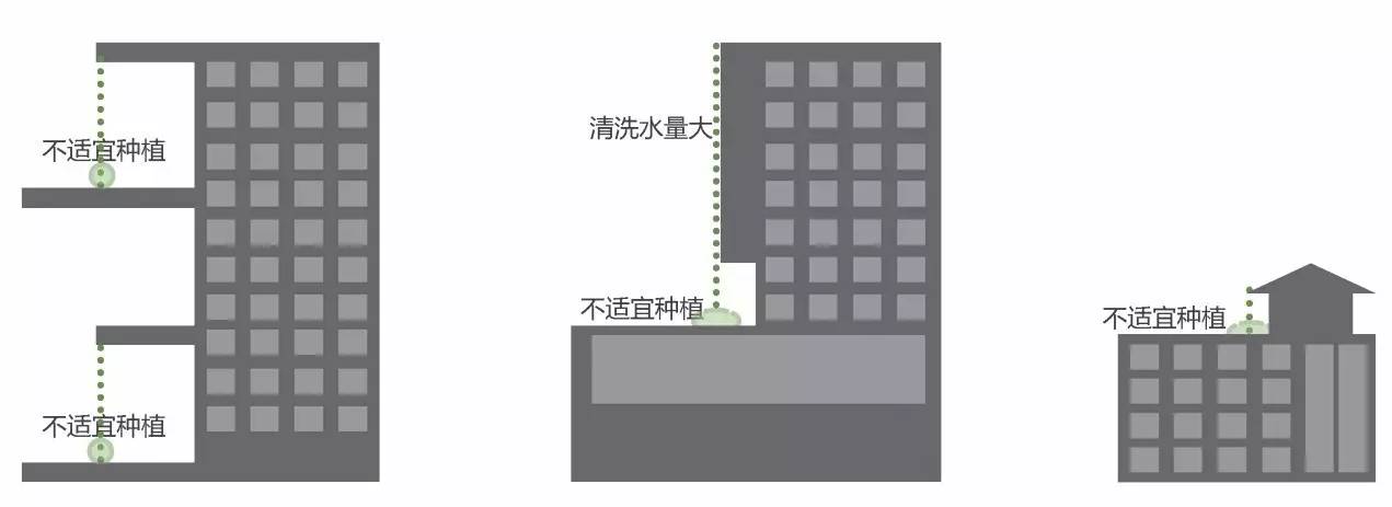空中绿化营造建议