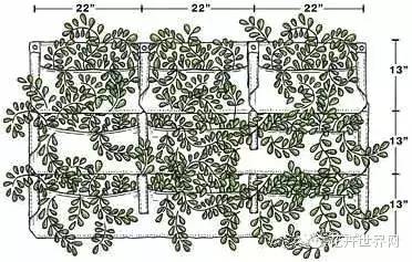 攀爬植物设计四种方式【附案例60图】