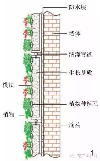 攀爬植物设计四种方式【附案例60图】