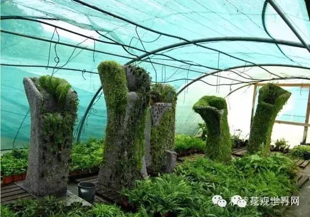 攀爬植物设计四种方式【附案例60图】