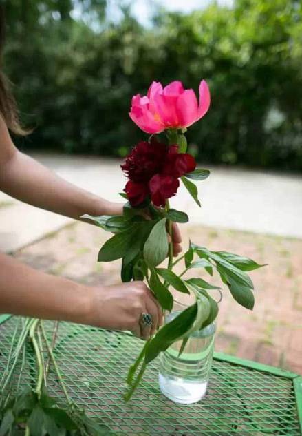 鲜花养护10大基本技巧，让鲜花活的更久