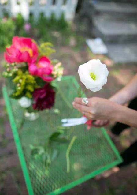 鲜花养护10大基本技巧，让鲜花活的更久