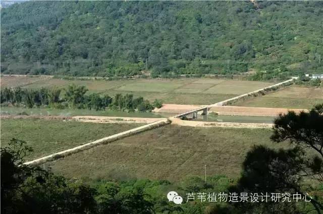 超能奶爸180天为孩子DIY出一个属于自家的农场