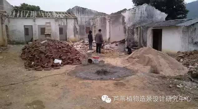 超能奶爸180天为孩子DIY出一个属于自家的农场