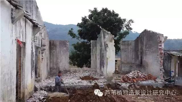 超能奶爸180天为孩子DIY出一个属于自家的农场