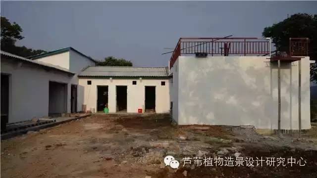 超能奶爸180天为孩子DIY出一个属于自家的农场