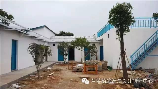 超能奶爸180天为孩子DIY出一个属于自家的农场