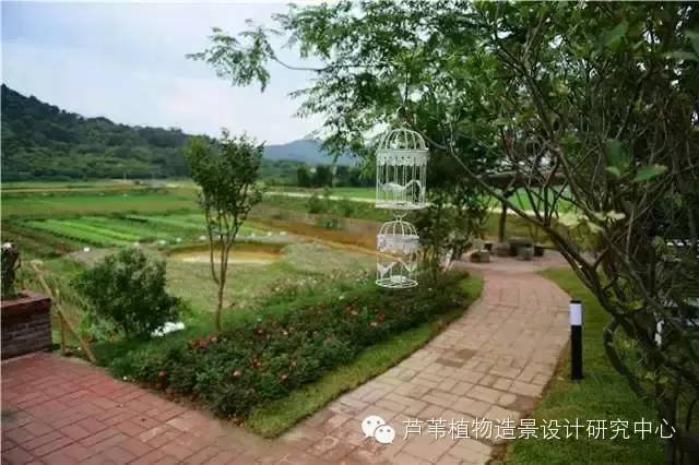 超能奶爸180天为孩子DIY出一个属于自家的农场