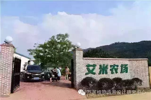 超能奶爸180天为孩子DIY出一个属于自家的农场